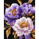 Картина за номерами "Пурпурний шик" Ідейка KHO3309 з фарбами металік extra 40х50 см