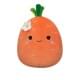 М'яка іграшка Морквина Кароліна Squishmallows SQER00909, 13 см