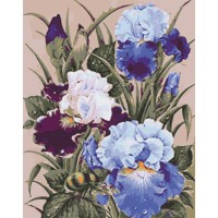 Картина за номерами "Півники" Art Craft 13145-AC 40х50 см