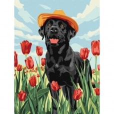 Картина за номерами "Чарівний лабрадор" KHO6621, 30х40 см