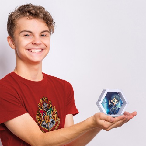 Колекційна фігурка Гаррі Поттер WOW! PODS 4D WW-1210-04 серії "Гаррі Поттер"