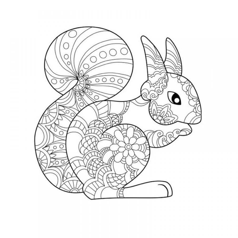 Велика книга розмальовок "Розфарбовуємо разом" 1736035, 64 сторінки