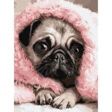 Картина за номерами "Закутаний мопс" ©art_selena_ua KHO6839, 30х40 см
