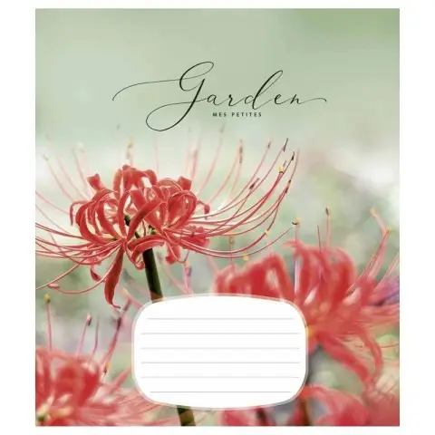 Зошит учнівський "Secret garden" 024-3233L-5 в лінію, 24 аркуша