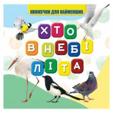 Моя перша книжечка Хто в небі літає VR06041708, 10 сторінок