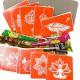 Набір кольорової хни з трафаретами для біо-тату №4 color-henna-set-04