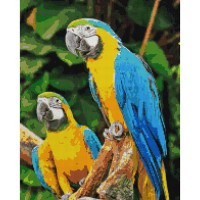 Алмазна мозаїка "Папуги Ара" Brushme DBS1049 40х50 см