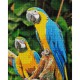 Алмазна мозаїка "Папуги Ара" Brushme DBS1049 40х50 см