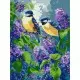 Картина за номерами "Весняний дует" ©art_selena_ua KHO6654, 30х40 см