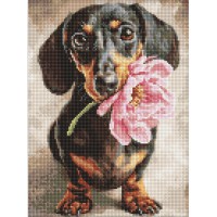 Алмазна мозаїка "Песик і сюрприз" ©art_selena_ua AMO20219, 30х40 см