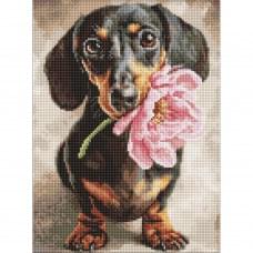 Алмазна мозаїка "Песик і сюрприз" ©art_selena_ua AMO20219, 30х40 см