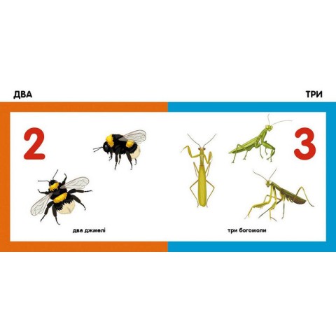 Дитяча смарт-книжечка "Лічимо комах" 944010, 24 сторінки