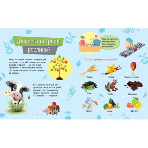 Навчальна книжка Чомусики "Рослини" 875010 запитання та відповіді