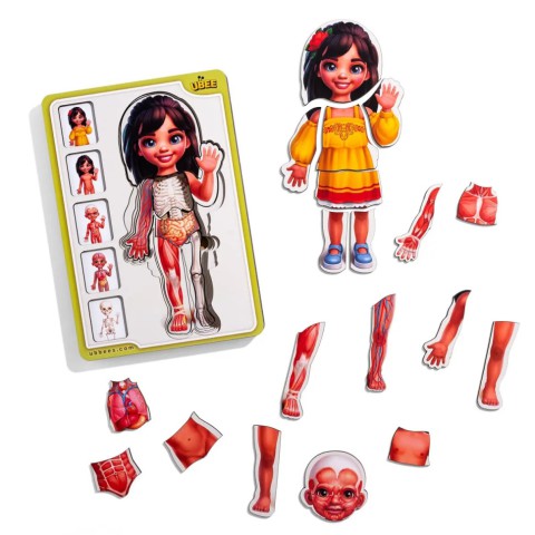 Дерев'яний пазл-вкладиш "Анатомія людини - дівчинка-2" (ПСД263) PSD263 будова тіла