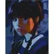 Картина за номерами "Холодний погляд" Art Craft 40х50 см 10406-AC