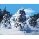 Картина за номерами "Вовки в русі" BS52218, 40х50 см