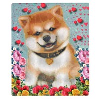 Алмазна мозаїка "Посмішка" 189039 картон, неповна викладка 21х25 см