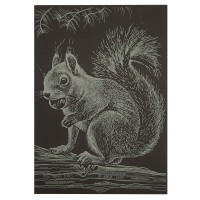Гравюра А5 "Білочка" ГрА5з-13 економ варіант у пакеті 21 х 14,8 см