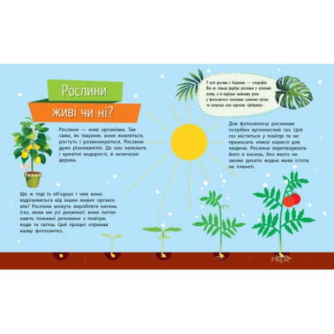 Навчальна книжка Чомусики "Рослини" 875010 запитання та відповіді