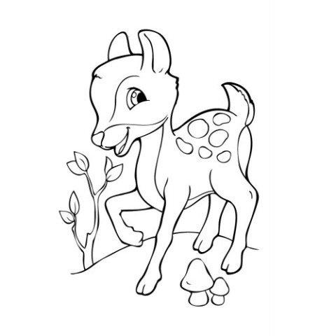 Дитяча розмальовка "Подивися і розфарбуй: Звірятка" 628008