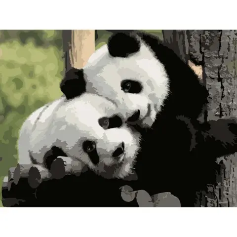 Картина за номерами "Щирі обійми" 504018-NC 40х50 см