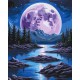 Картина за номерами "Нічна магія" 11059-AC 40х50 см