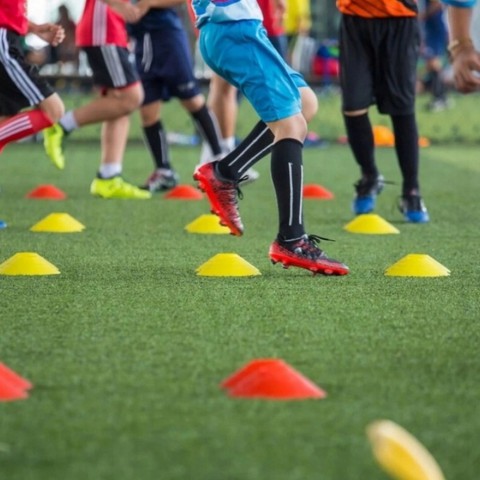 Фішки для розмітки поля на підставці NE-F-CHP 50 шт, у чохлі