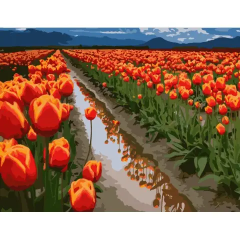 Картина за номерами. Art Craft "Поля в Голландії" 40 * 50 см 10524-AC