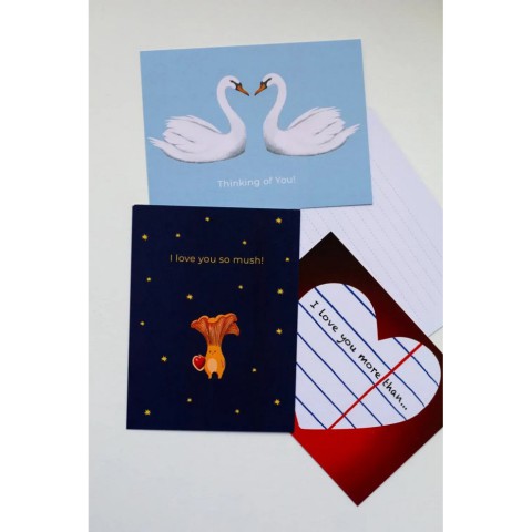 Листівка з конвертом Лебеді СS-GS-002