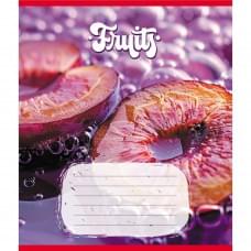 Зошит учнівський "Фрукти" 012-500028K-4 в клітинку, 12 аркушів (959050)