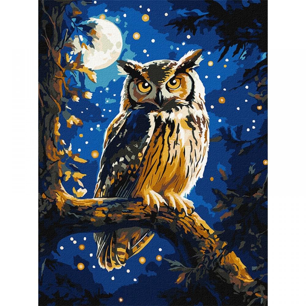 Картина за номерами "Нічна сова" ©art_selena_ua KHO6681 з фарбами металiк 30х40 см