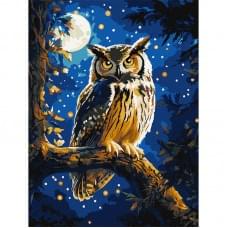 Картина за номерами "Нічна сова" ©art_selena_ua KHO6681 з фарбами металiк 30х40 см