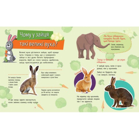 Навчальна книжка Чомусики "Тварини" 875008 запитання та відповіді