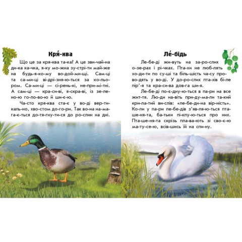 Читаю про Україну по складах "Тварини річок та морів" 366024 з кольоровими ілюстраціями