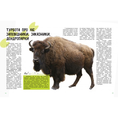 Дитяча книга " Світ і його таємниці: Життя лісу" 740002 укр. мовою