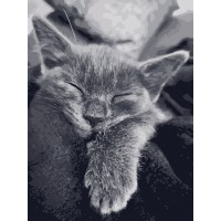 Картина за номерами. Art Craft "Котяча подяка" 40 * 50 см 11612-AC