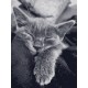 Картина за номерами. Art Craft "Котяча подяка" 40 * 50 см 11612-AC
