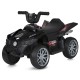 Дитячий електромобіль Квадроцикл M 6181EL-2 до 25 кг
