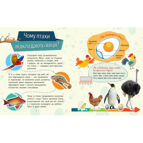 Навчальна книжка Чомусики "Тварини" 875008 запитання та відповіді