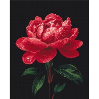 Картина за номерами "Півонії в сяйві роси" BS54148, 40х50 см