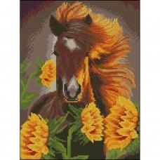 Алмазна мозаїка "Воля" ZAV3040-26 без підрамника 30х40 см