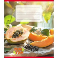 Зошит учнівський "Фрукти" 036-580143L-5 в лінію, 36 аркушів