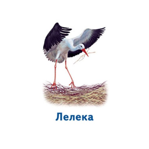 Настільна гра Парочки: Світ тварин 1392003, 6 ігор