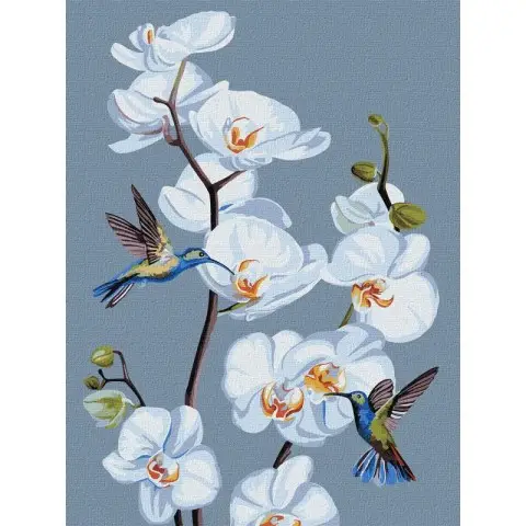 Картина за номерами "Квітучі орхідеї" ©annasteshka KHO3241 Ідейка 30х40 см