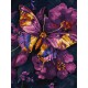 Картина за номерами "Золотий метелик" KHO6692 з фарбами металік extra 30х40 см