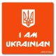 Трафарет для біо-тату I AM UKRAINIAN n064-24*24см, розмір 24 х 24см