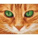 Картина за номерами. Art Craft "Зелені очі" 40 * 50 см 11620-AC