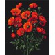 Картина за номерами "Чарівність маків" BS54146, 40х50 см