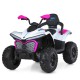 Дитячий квадроцикл-толокар 3 в 1 M 6222EBLR-1-8 до 23 кг