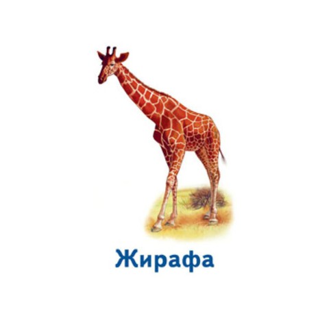 Настільна гра Парочки: Світ тварин 1392003, 6 ігор
